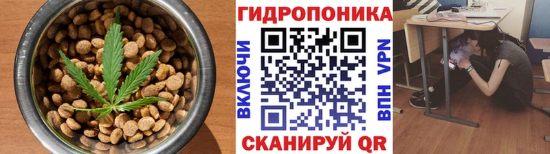 нарко площадка наркотические препараты  закладка  kraken зеркало  Щёлково  Еда ТГК марихуана 