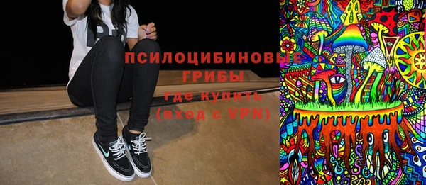 дурь Алексин