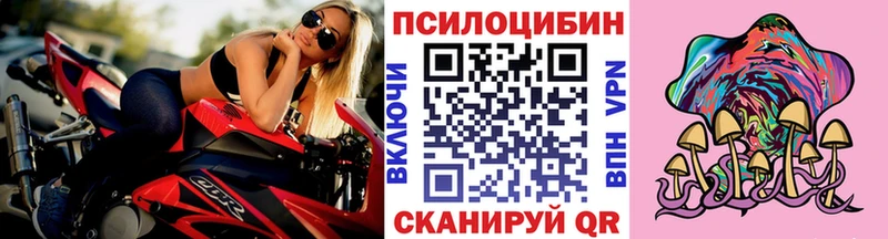 Псилоцибиновые грибы Psilocybe  Щёлково 